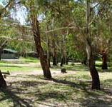 Woods Reserve - Sydney 4u