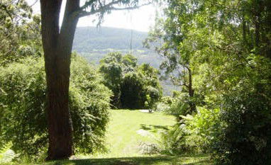 Red Dog Retreat - Accommodation Sydney 1