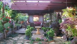 Blossoms Bed And Breakfast - Sydney 4u 0