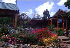 Blossoms Bed And Breakfast - Sydney 4u 2