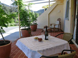 A View Of Mt Warning Bed And Breakfast - Sydney 4u 2
