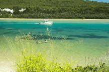 Wooli Camping and Caravan Park - Accommodation Sydney