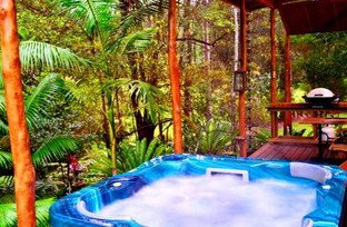 A Waterfall Hideout-Rainforest Cabin For Couples - Accommodation Sydney 5