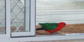 Azalea Cottage - Sydney 4u 5