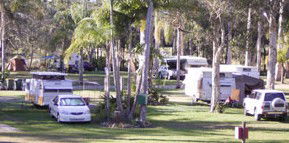 Brigadoon Holiday Park - Sydney 4u 2