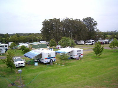 Dawson River Tourist Park - Accommodation Sydney 0