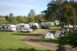 Dawson River Tourist Park - Accommodation Sydney 1