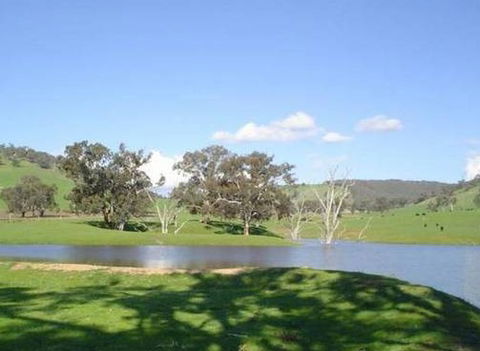 Hillview Farmstay - Sydney 4u 0