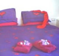 Aloomba Lavender - Accommodation - Sydney 4u