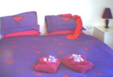 Aloomba Lavender - Accommodation - Sydney 4u 0