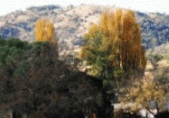 Bithramere NSW Sydney 4u
