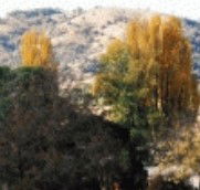 Birches Bed and Breakfast at Nundle - Sydney 4u