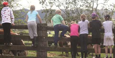 Ashmar Farm Stay - Accommodation Sydney 4