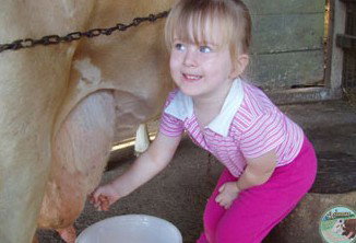 Ashmar Farm Stay - Accommodation Sydney 5