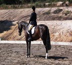 Apptrak Stud - Sydney 4u 0