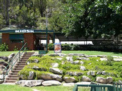 Carinya Ski Ranch - Accommodation Sydney 4