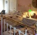 A Winter-Rose Cottage Bed and Breakfast - Sydney 4u