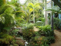 Chamomile Bed And Breakfast - Accommodation Sydney 0