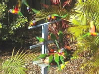 Chamomile Bed And Breakfast - Accommodation Sydney 1