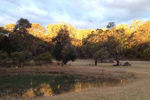 Possums Hollow And Hooters Hut - Sydney Resort 1