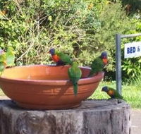 Lamb Island Bed and Breakfast - Sydney 4u