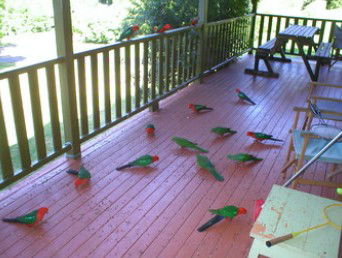 A Little Bit Of Heaven - Holiday Home - Sydney 4u 8