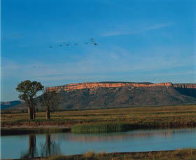 El Questro Homestead - Sydney 4u 0