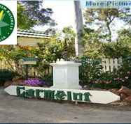 Carmelot Bed  Breakfast - Sydney 4u