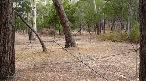 UC Camping Norval - Sydney Resort 4