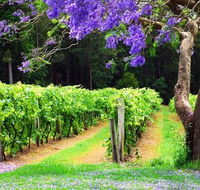 Bago Vineyards - Sydney 4u
