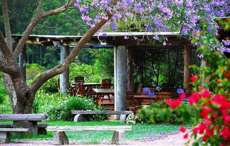 Bago Vineyards - Accommodation Sydney 1