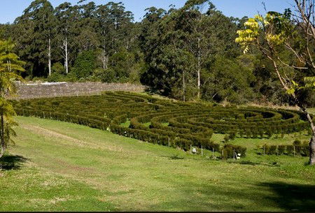 Bago Vineyards - Accommodation Sydney 2