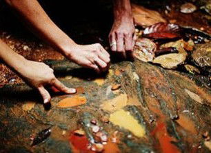 Daintree Eco Lodge And Spa - Sydney 4u 0