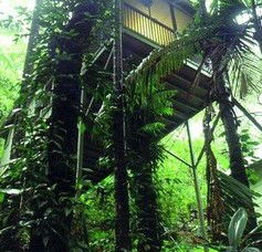 Daintree Eco Lodge And Spa - Sydney 4u 1