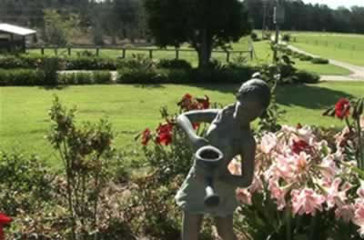 Jacaranda Country Lodge - Accommodation Sydney 2