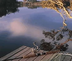 Jacaranda Country Lodge - Accommodation Sydney 4