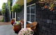 Central Motel Port Fairy - thumb 2