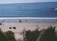 Acacia Holiday Flats - Sydney 4u 3