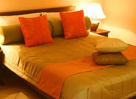 Hibiscus Gardens Spa Resort - Accommodation Sydney 1