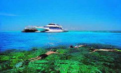 Port O' Call Eco Lodge - Accommodation Sydney 2