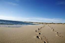 Kalbarri Palm Resort - Accommodation Sydney 4