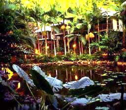 Daintree Eco Lodge And Spa - Sydney 4u 3