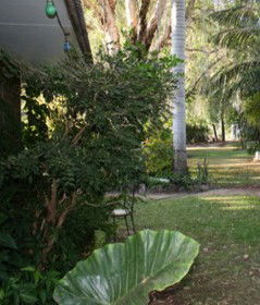 Douglas Daly Holiday Park - Accommodation Sydney 1