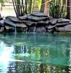 Douglas Daly Holiday Park - Accommodation Sydney 2