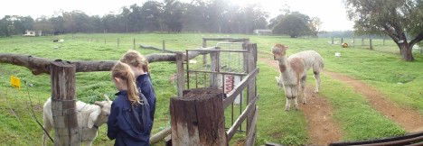 Boronia Farm Farmstay - Accommodation Sydney 0