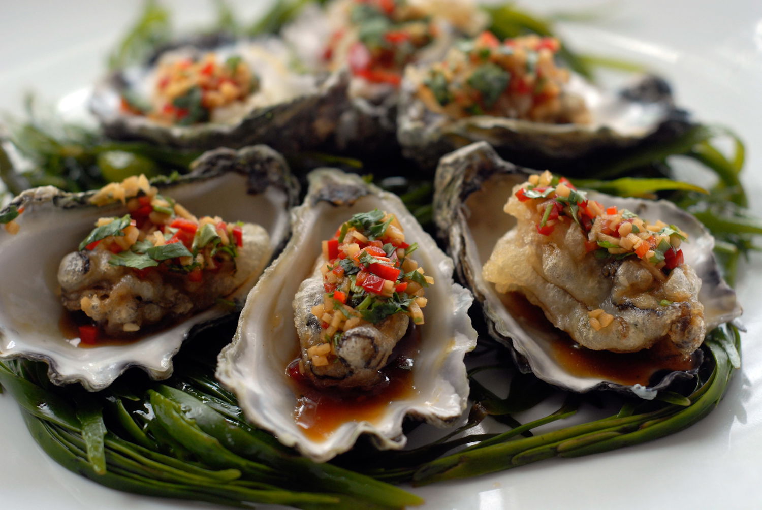 Mollymook NSW Accommodation Sydney