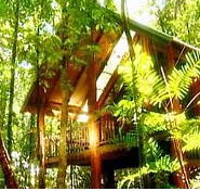 The Canopy Treehouses - Sydney 4u