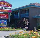 Strzelecki Motor Lodge - Sydney 4u