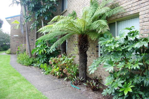 Beachfront Units Merimbula - Accommodation Sydney 3