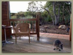Kangaroo Island Wilderness Resort - Accommodation Sydney 1